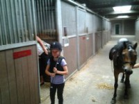 /album/the-best-pony/camera-marjan-1151-jpg/